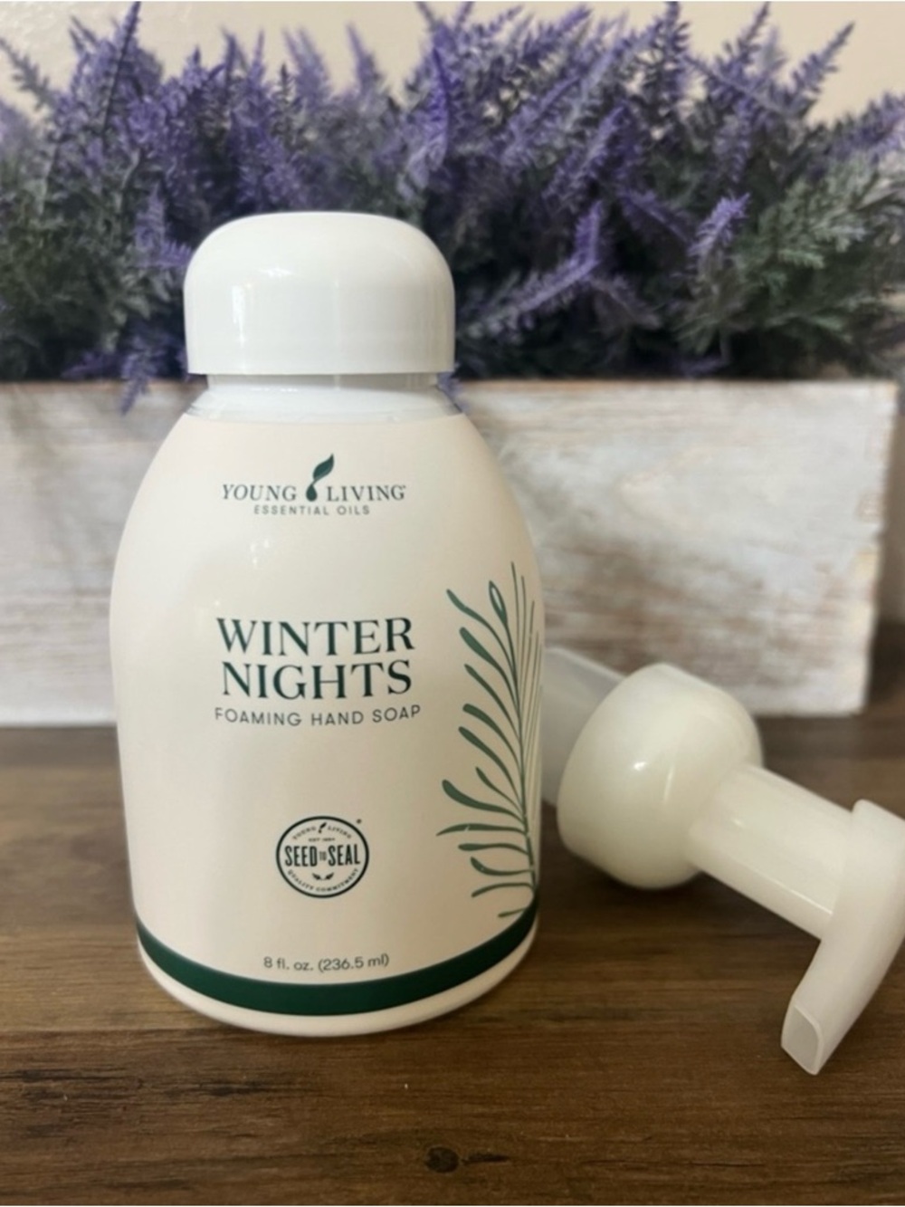 Young Living Winter Nights Foaming Hand Soap - New